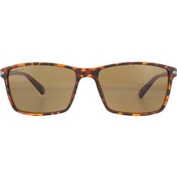 Montana MP51 D Brown Turtle Rubbertouch Polarized