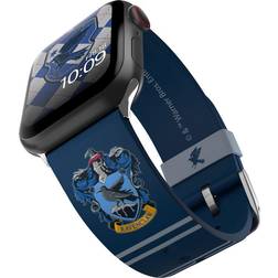 Harry Potter Ravenclaw Band