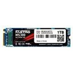 Mega Fastro SSD 1TB MS300 Series PCI-Express NVMe intern bis zu 7.000 MB/s Lesen 6.000 MB/s Schreiben
