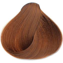 Fudge Headpaint Hair Color 6.3