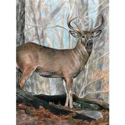 Royal & Langnickel BRUSH Color Pencil By Number Kit Whitetail Buck