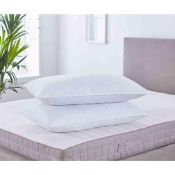 Martex Wellness Anti Allergy Microfresh Down Pillow