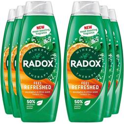Radox Shower Gel Feel Refreshed Eucalyptus & Citrus Scent 675 Ml, 6 Pack