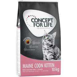 Concept for Life Economy Packs Maine Coon