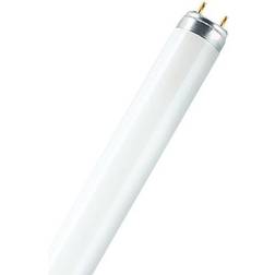 Osram Lumilux Interna Fluorescent Lamp 18W G13