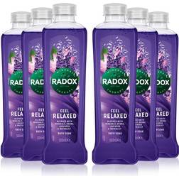Radox 100% Nature Inspired Fragrance Bath Soak, Feel