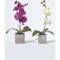 Homescapes Set of 2 Cerise Pink & White Orchids Artificial Plant