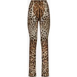 Dolce & Gabbana Leopard-print marquisette pants