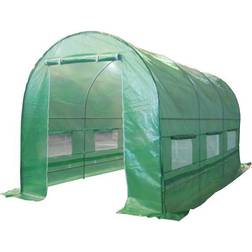 Birchtree Polytunnel Greenhouse 4x2m Stainless steel Plastic