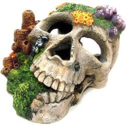 Classic Aquatics Skull & Coral Growth Ornament