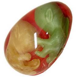 Henbrandt Large Alien Egg Twin Babies