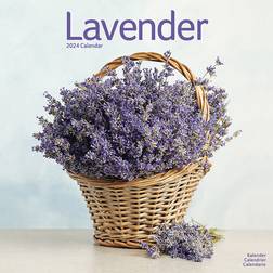 Avonside Lavender Calendar 2024