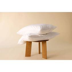 Surrey Down Goose Feather Continental Down Pillow