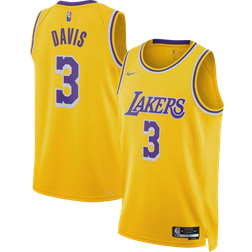 Nike Anthony Davis Los Angeles Lakers Swingman Jersey 2021-22