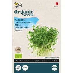 Buzzy Organic karse økologiske frø