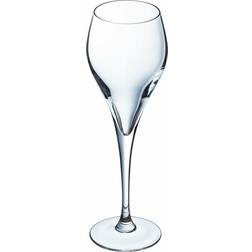 Arcoroc Brio Champagne Glass 16cl