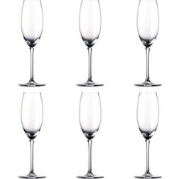 Rosenthal Thomas Divino Champagne Glass 19cl 6pcs