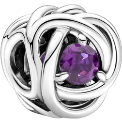 Pandora February Birthstone Eternity Circle Charm - Silver/Purple