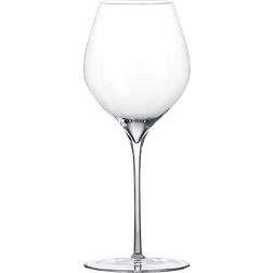 Fresh by Amelie - Champagne Glass 32cl