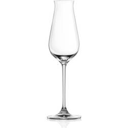 Lucaris Desire Champagne Glass 24cl 6pcs