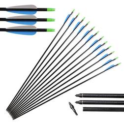 Hunting Arrow with Replaceable 12pcs