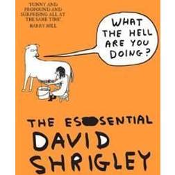 What The Hell Are You Doing?: The Essential David Shrigley (Paperback, 2012)