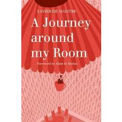 A Journey Around My Room (Paperback, 2013)
