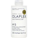 Hair Products Olaplex No.3 Hair Perfector 250ml