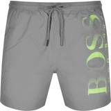 Swimwear Men's Clothing Hugo Boss Octopus Swim Shorts - Grey