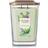Yankee Candle Cactus Flower & Agave Large Scented Candles