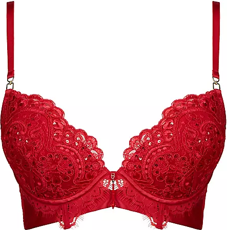Ann Summers Fiercely Sexy Plunge Bra Red Price