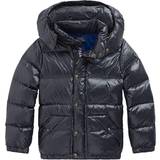 Polo Ralph Lauren Boy's Hauth Puffer Jacket - Polo Black (323795538007)