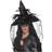 Smiffys Witch Hat Feathers & Netting