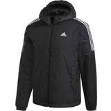Jackets Men's Clothing Adidas Essentials Insulated Hooded Jacket - Black