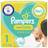 Pampers New Baby Size - 1, 2kg-5kg, 50 Nappies Essential Pack