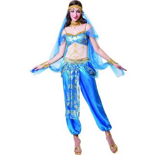 Bristol Novelty Womens/Ladies Harem Dancer Costume (One Size) (Blue/White/Gold)