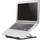 NewStar NSLS075 Foldable Laptop Stand