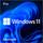 Microsoft Windows 11 Pro German (64-bit OEM)