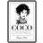 Coco Chanel (Hardcover, 2015)