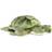 Hamleys Sunny Sea Turtle