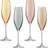 LSA International Polka Champagne Glass 4pcs