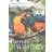 Parrots of the Wild (Hardcover, 2015)