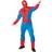 Rubies Spiderman Adult Costume with Eva Torso & Hood