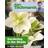 Alan Titchmarsh How to Garden: Gardening in the Shade (Paperback, 2009)