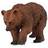Collecta Brown Bear Cub 88561