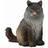 Collecta Norwegian Forest Cat Sitting 88327