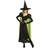 Rubies Adult Wicked Witch of the West Costume