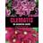 Clematis: An Essential Guide (Hardcover, 2011)