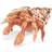 Folkmanis Crab Hermit 2867
