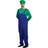 Nintendo Luigi Budget Costume